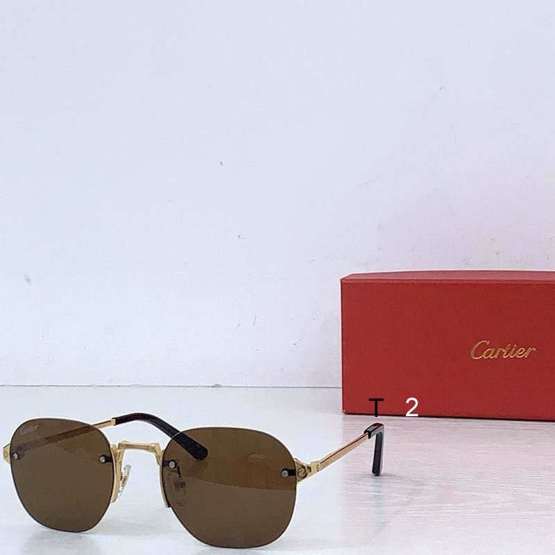 Cartier CT0459S 53 21-145 b02