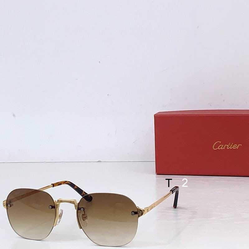 Cartier CT0459S 53 21-145 b03