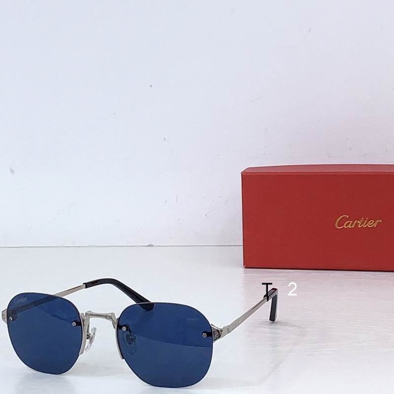 Cartier CT0459S 53 21-145 b06