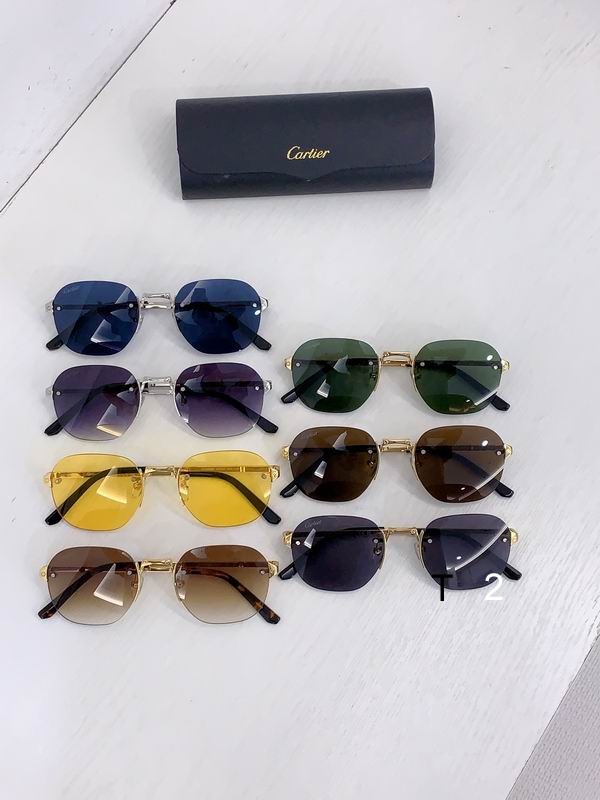 Cartier CT0459S 53 21-145 b09