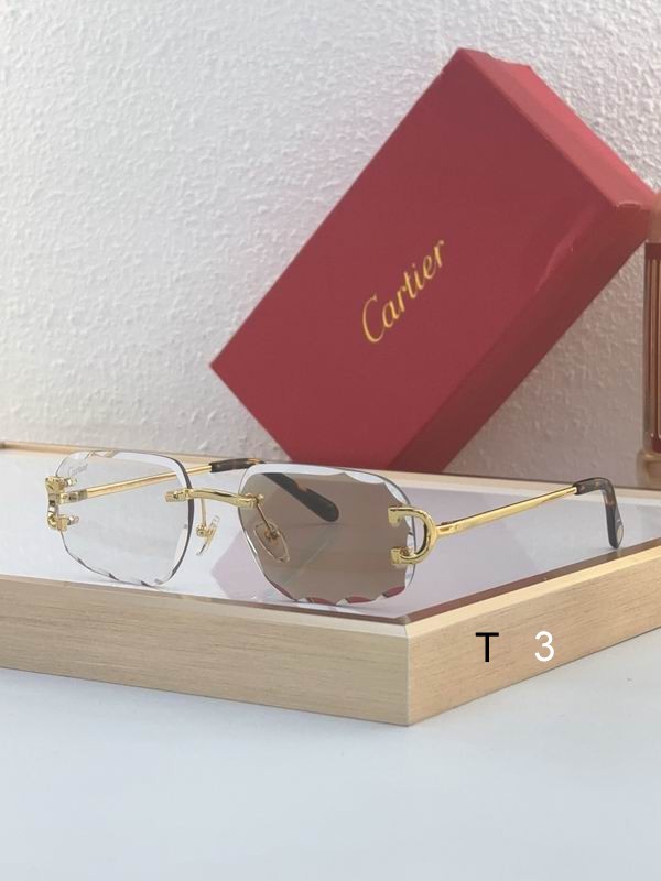 Cartier CT0475S 60 18-140 c01