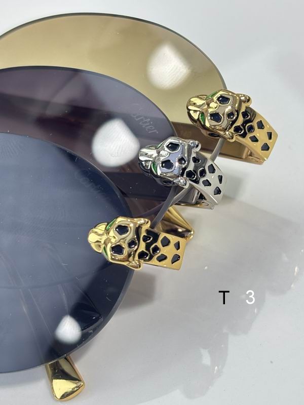 Cartier CT0475S 60 18-140 c07