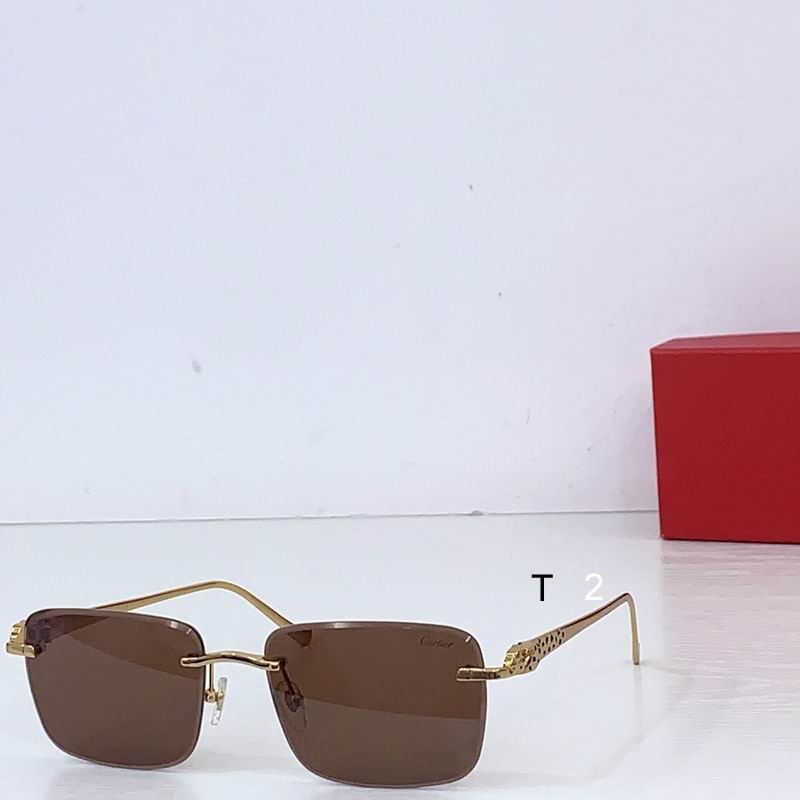 Cartier CT0479S 60 18-140 b01