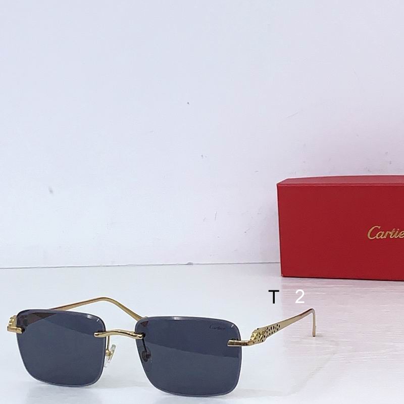 Cartier CT0479S 60 18-140 b02