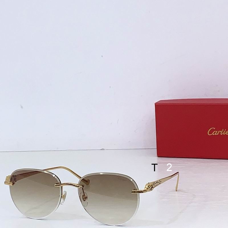 Cartier CT0480S 60 18-140 b01