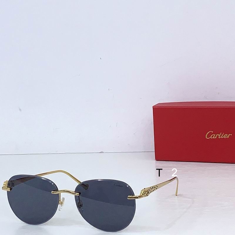 Cartier CT0480S 60 18-140 b02