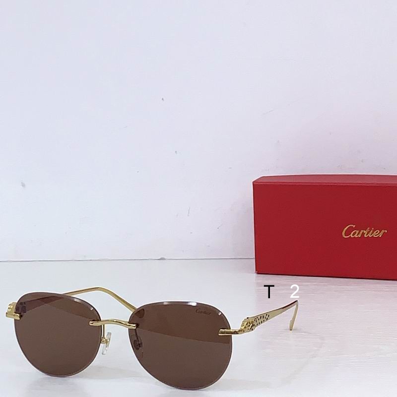 Cartier CT0480S 60 18-140 b03