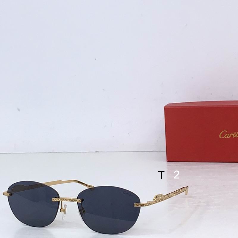 Cartier CT0486S 60 18-140 b02
