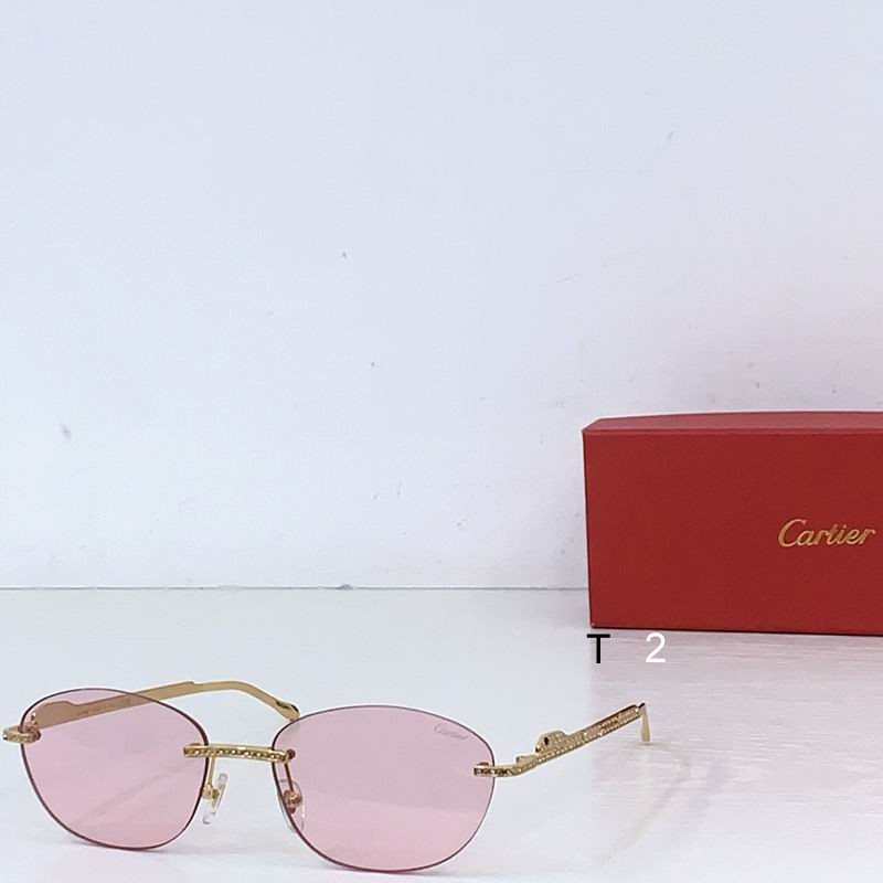 Cartier CT0486S 60 18-140 b04