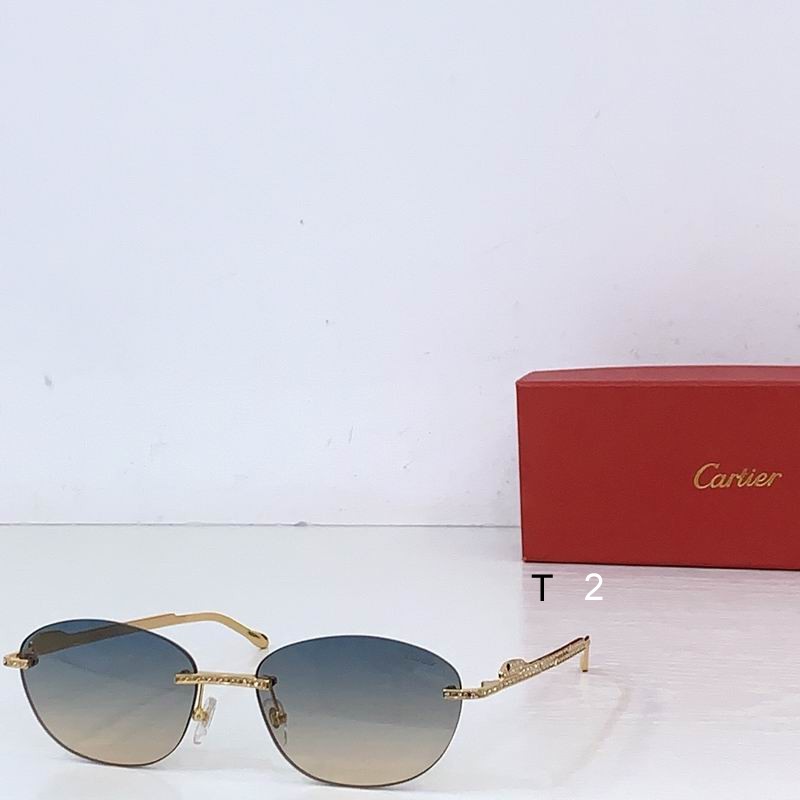 Cartier CT0486S 60 18-140 b05