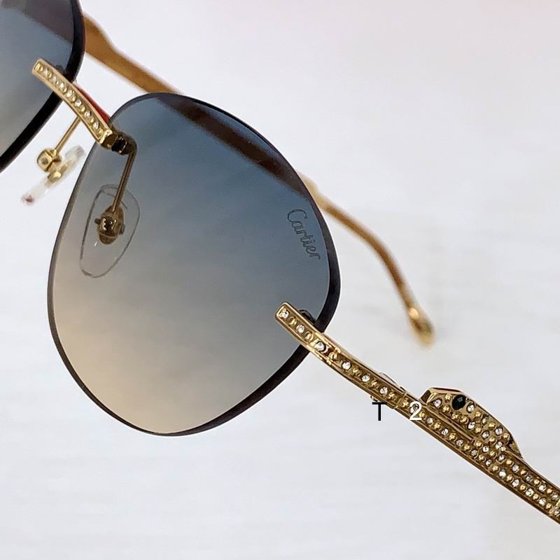 Cartier CT0486S 60 18-140 b06