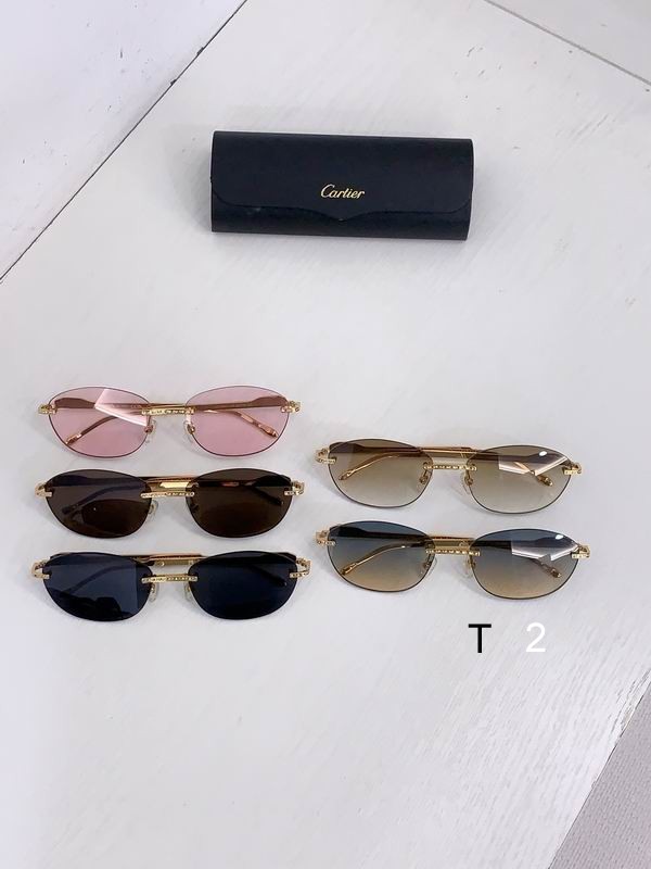 Cartier CT0486S 60 18-140 b08