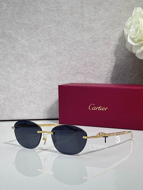 Cartier CT0486S 60 18-140 c01