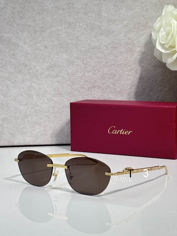 Cartier CT0486S 60 18-140 c02