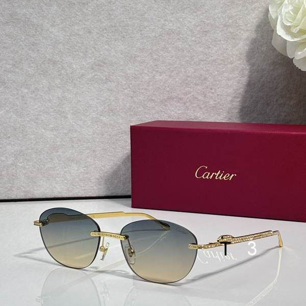 Cartier CT0486S 60 18-140 c03