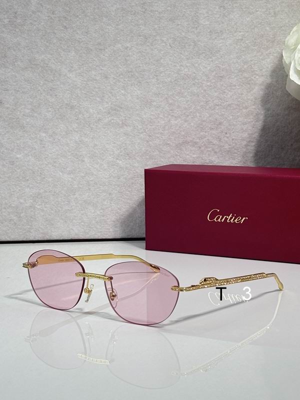 Cartier CT0486S 60 18-140 c04