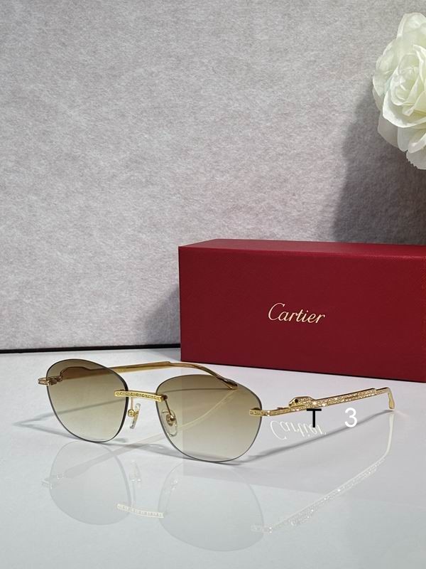 Cartier CT0486S 60 18-140 c05