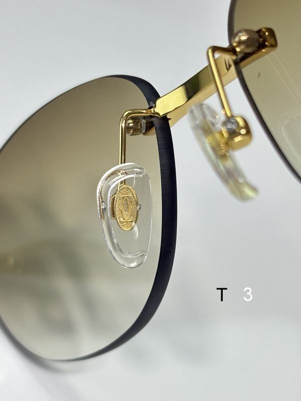 Cartier CT0486S 60 18-140 c07