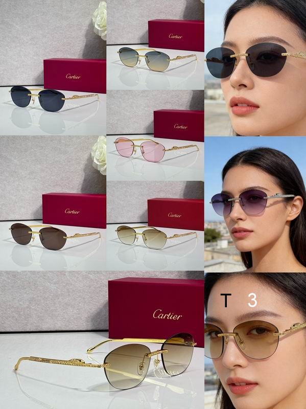 Cartier CT0486S 60 18-140 c08