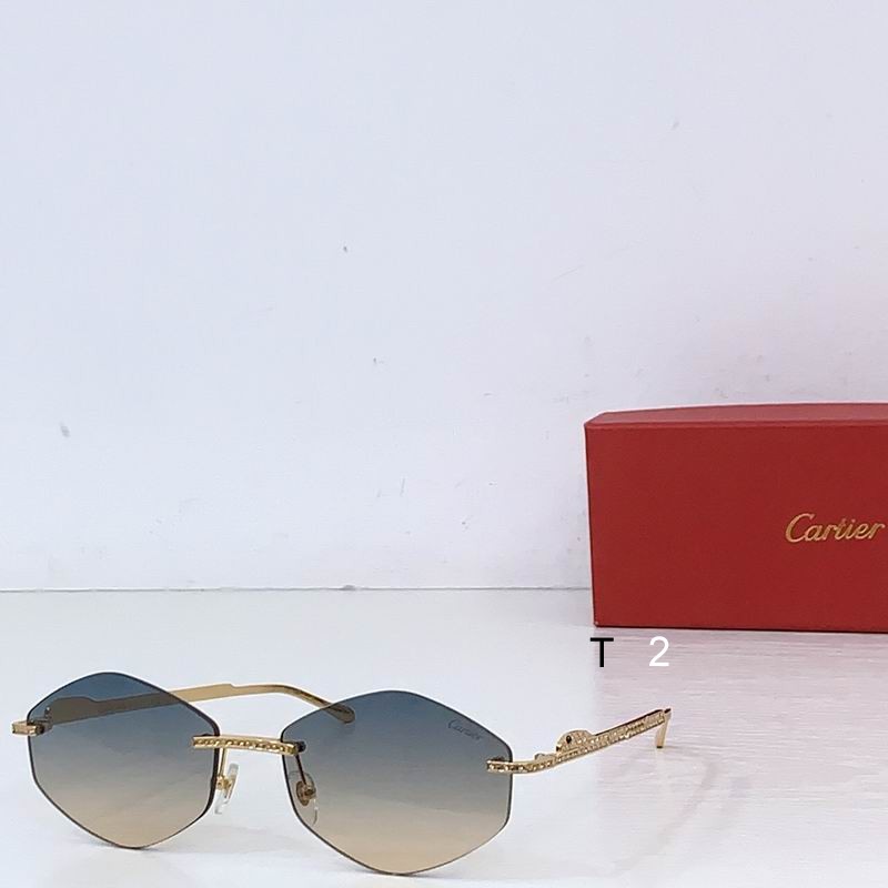 Cartier CT0487S 61 18-140 b01