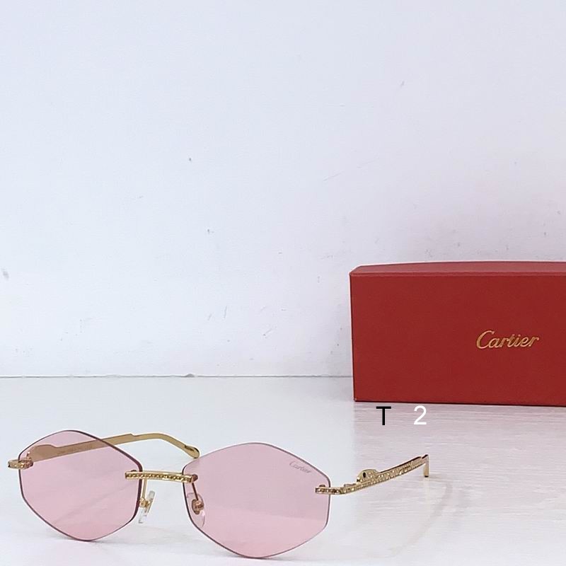 Cartier CT0487S 61 18-140 b02
