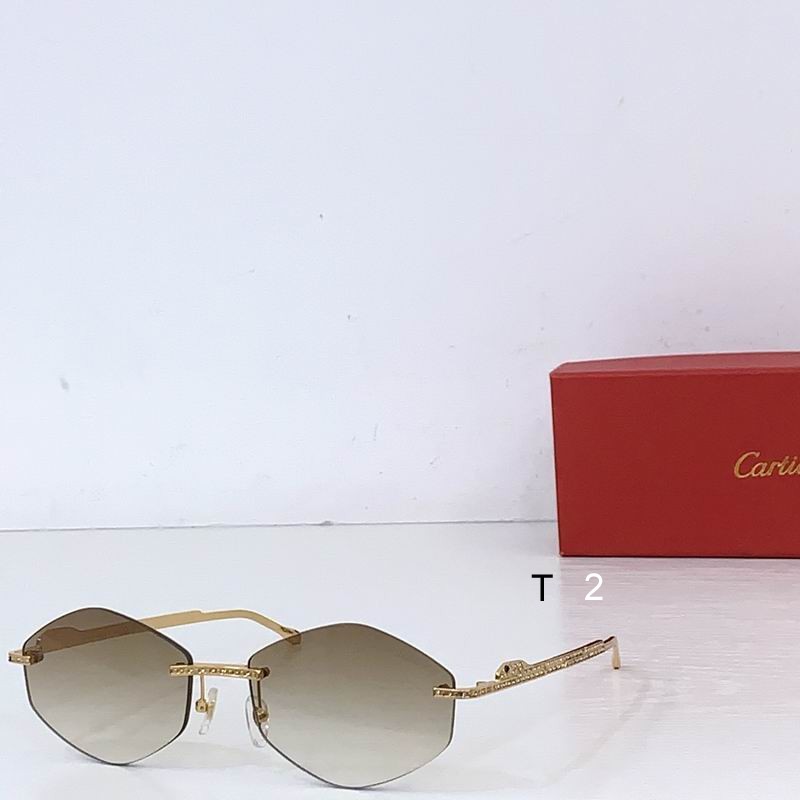 Cartier CT0487S 61 18-140 b03