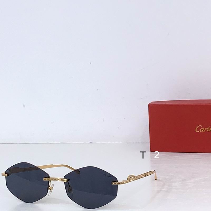 Cartier CT0487S 61 18-140 b04