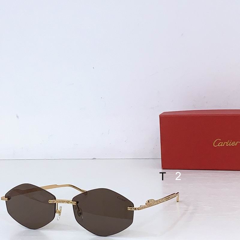 Cartier CT0487S 61 18-140 b05