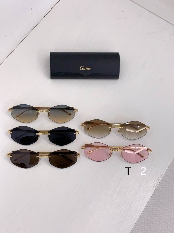 Cartier CT0487S 61 18-140 b08