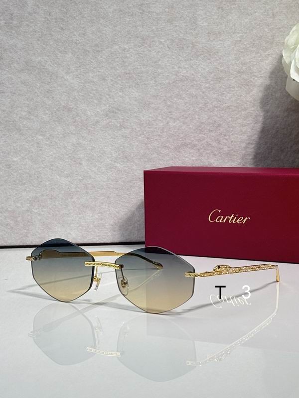 Cartier CT0487S 61 18-140 c01