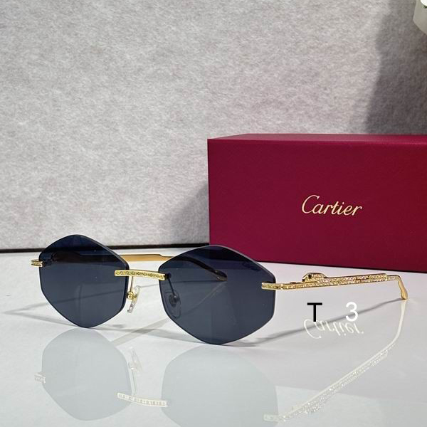 Cartier CT0487S 61 18-140 c02