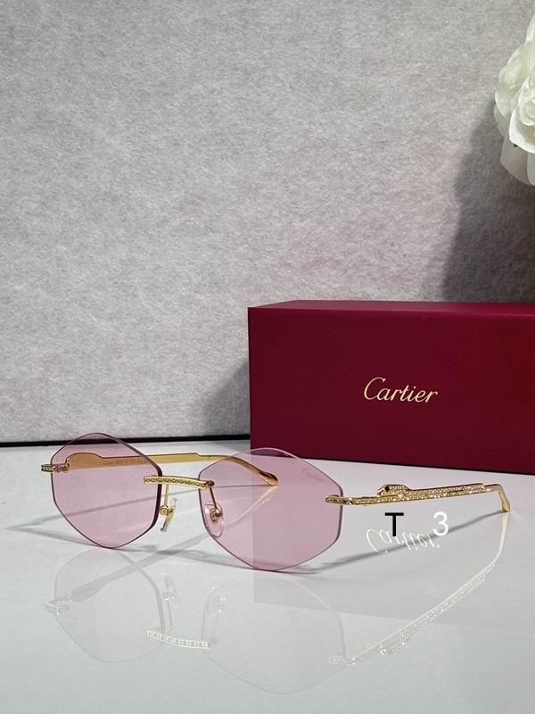 Cartier CT0487S 61 18-140 c03