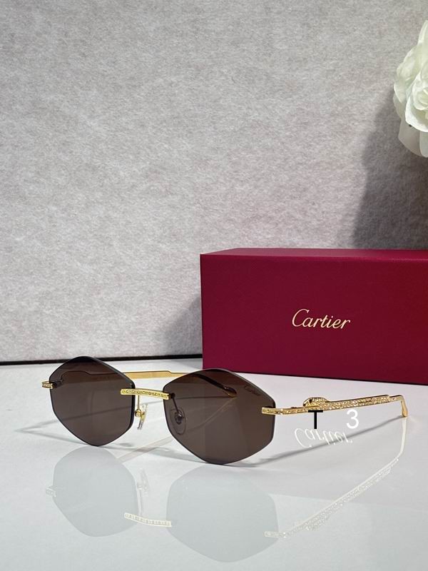 Cartier CT0487S 61 18-140 c04