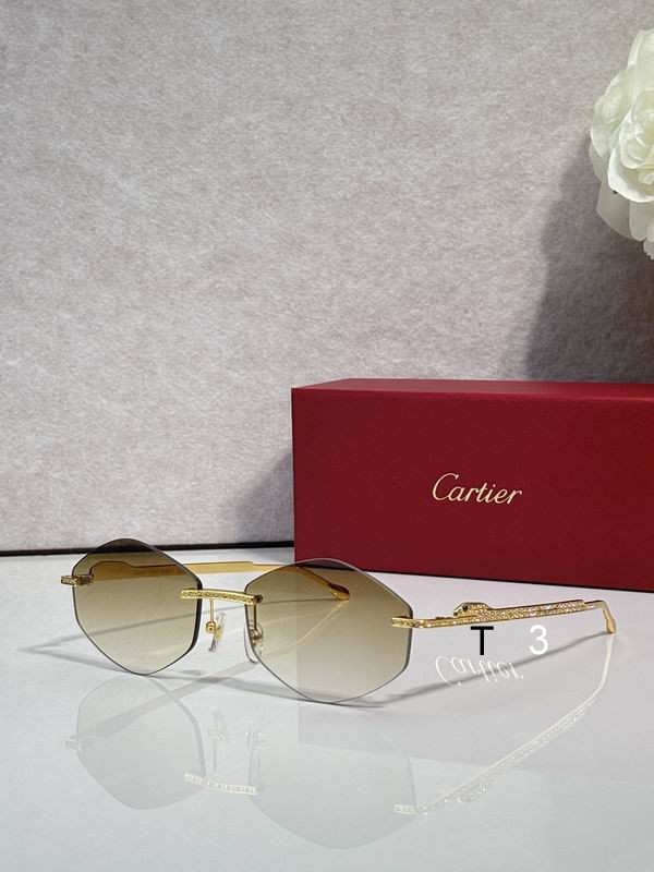 Cartier CT0487S 61 18-140 c05