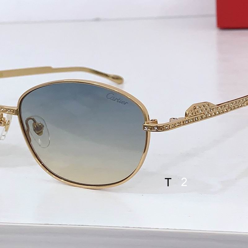 Cartier CT0488S 59 15-140 b06