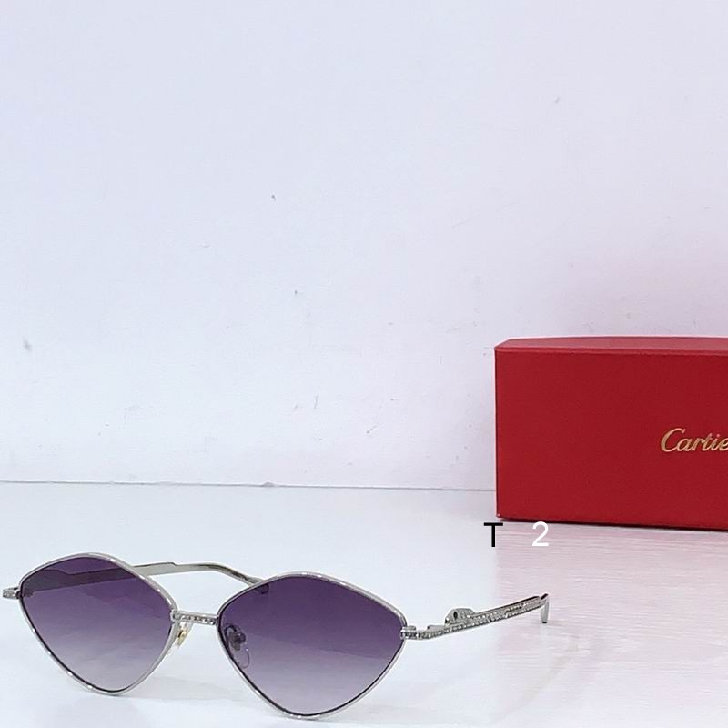 Cartier CT0489S 60 15-140 b01