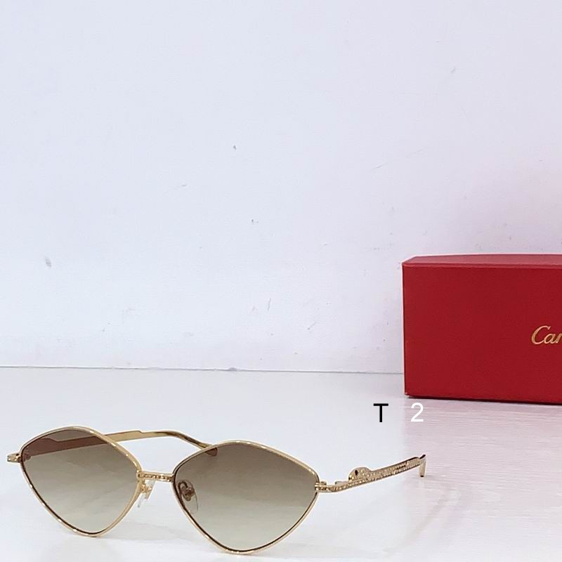 Cartier CT0489S 60 15-140 b02