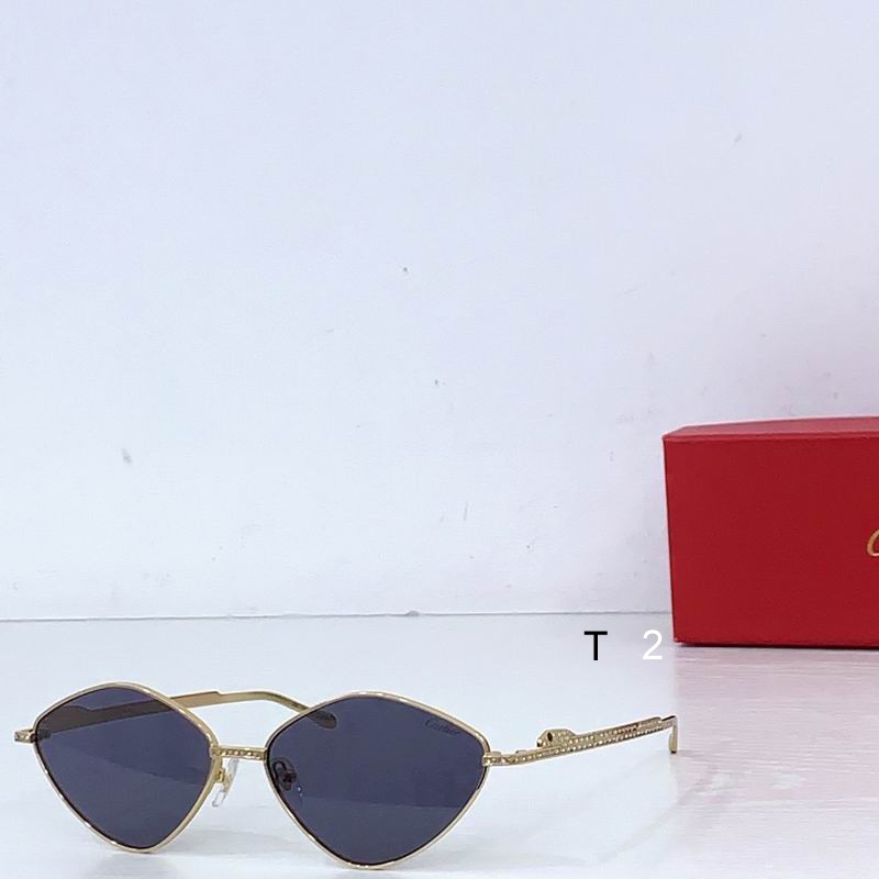 Cartier CT0489S 60 15-140 b03