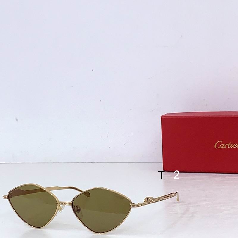 Cartier CT0489S 60 15-140 b04