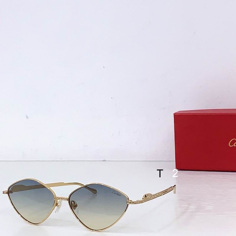 Cartier CT0489S 60 15-140 b05