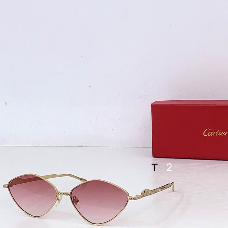 Cartier CT0489S 60 15-140 b06