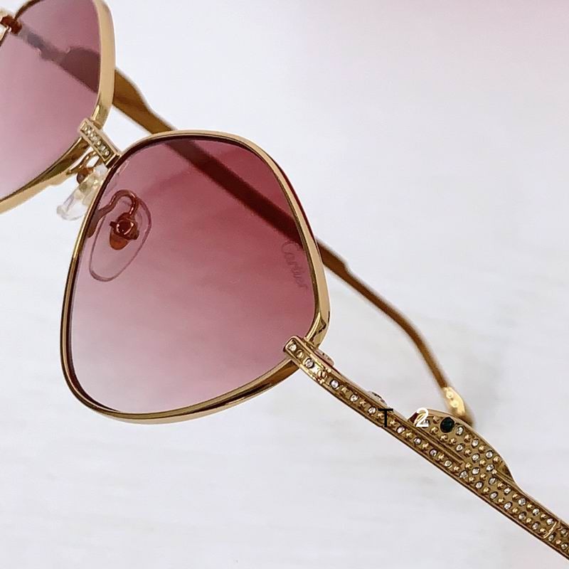 Cartier CT0489S 60 15-140 b07