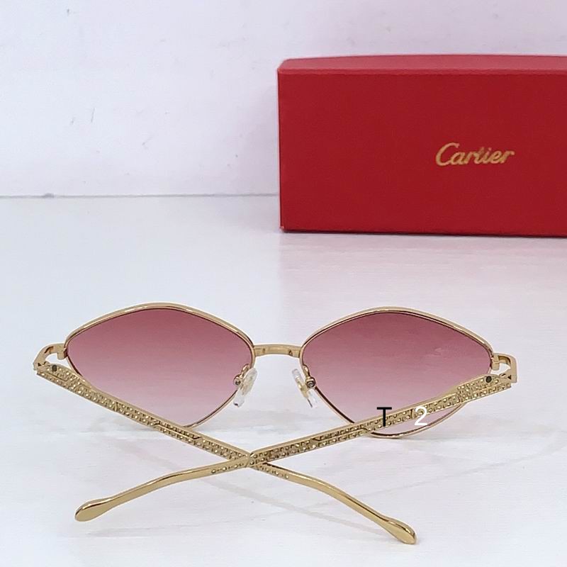 Cartier CT0489S 60 15-140 b08
