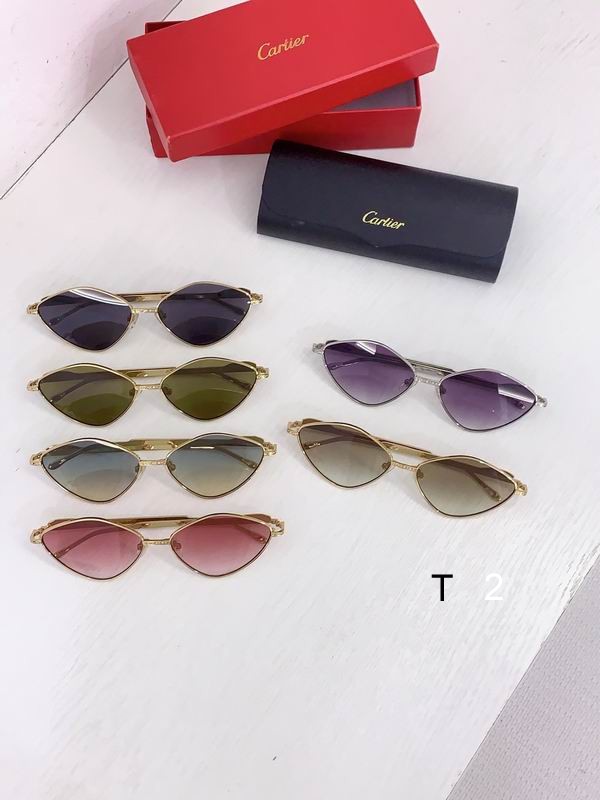 Cartier CT0489S 60 15-140 b09