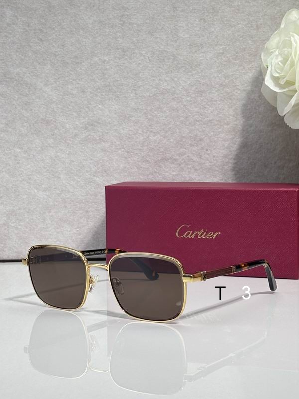 Cartier CT0491S 59 19 145 c01