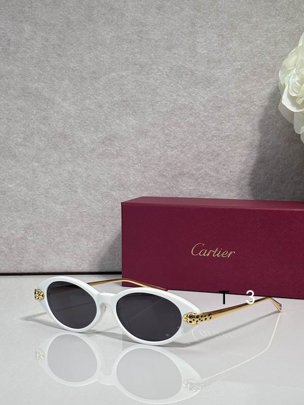 Cartier CT0491S 59 19 145 c01