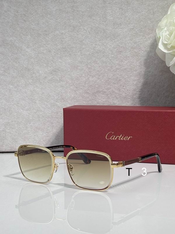 Cartier CT0491S 59 19 145 c03