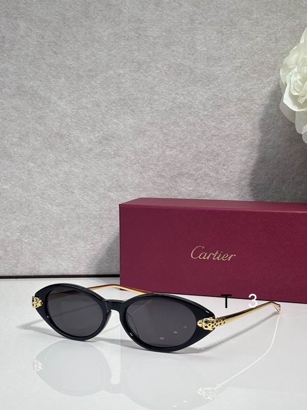 Cartier CT0491S 59 19 145 c03