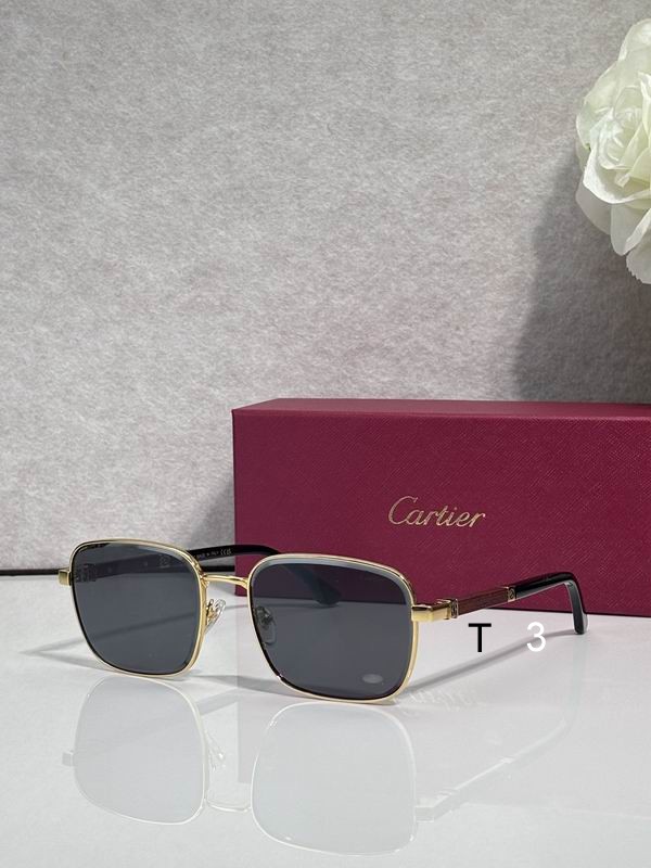 Cartier CT0491S 59 19 145 c04
