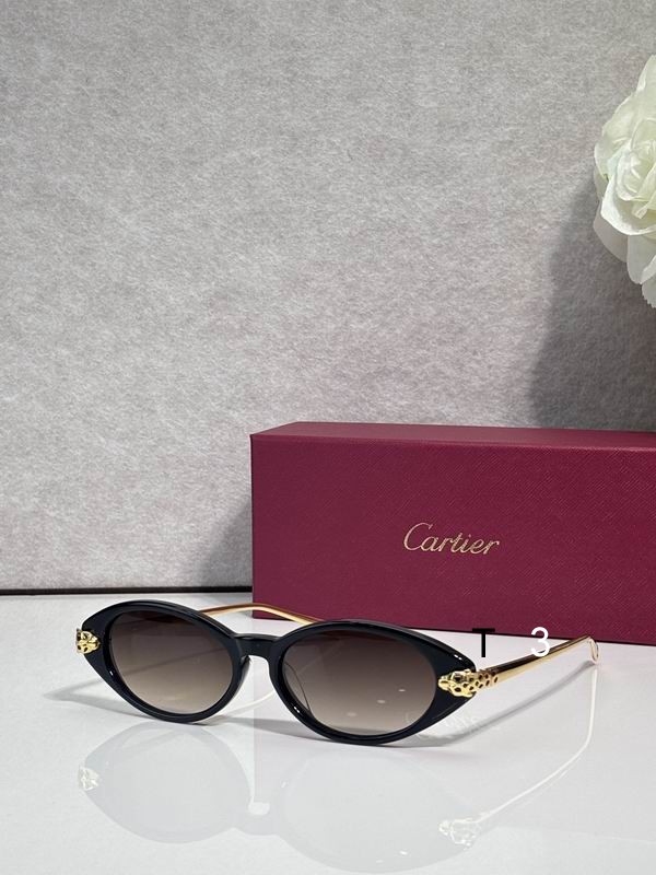 Cartier CT0491S 59 19 145 c05